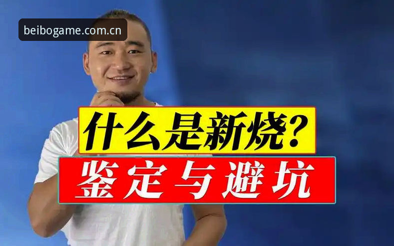 揭秘贝博平台官网入口CN常见问题，注册与使用中的实战避坑指南